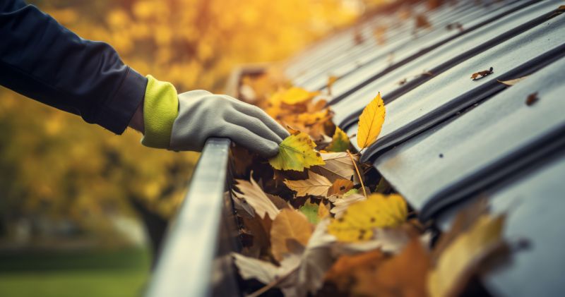 Holiday Discounts on Gutter Maintenance