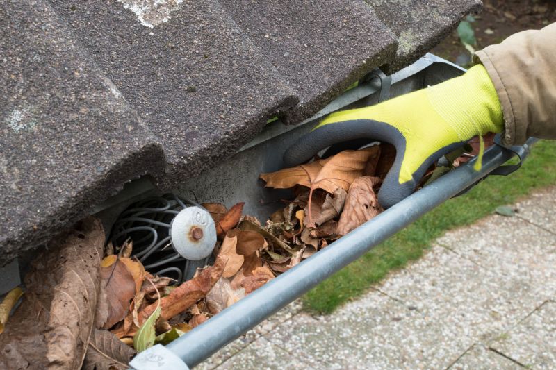 Gutter System Inspection